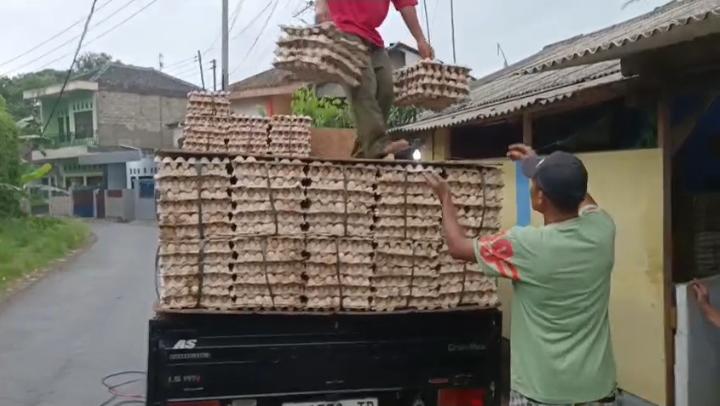 Gudang Telur Zombi Kembali Meresahkan di Caringin