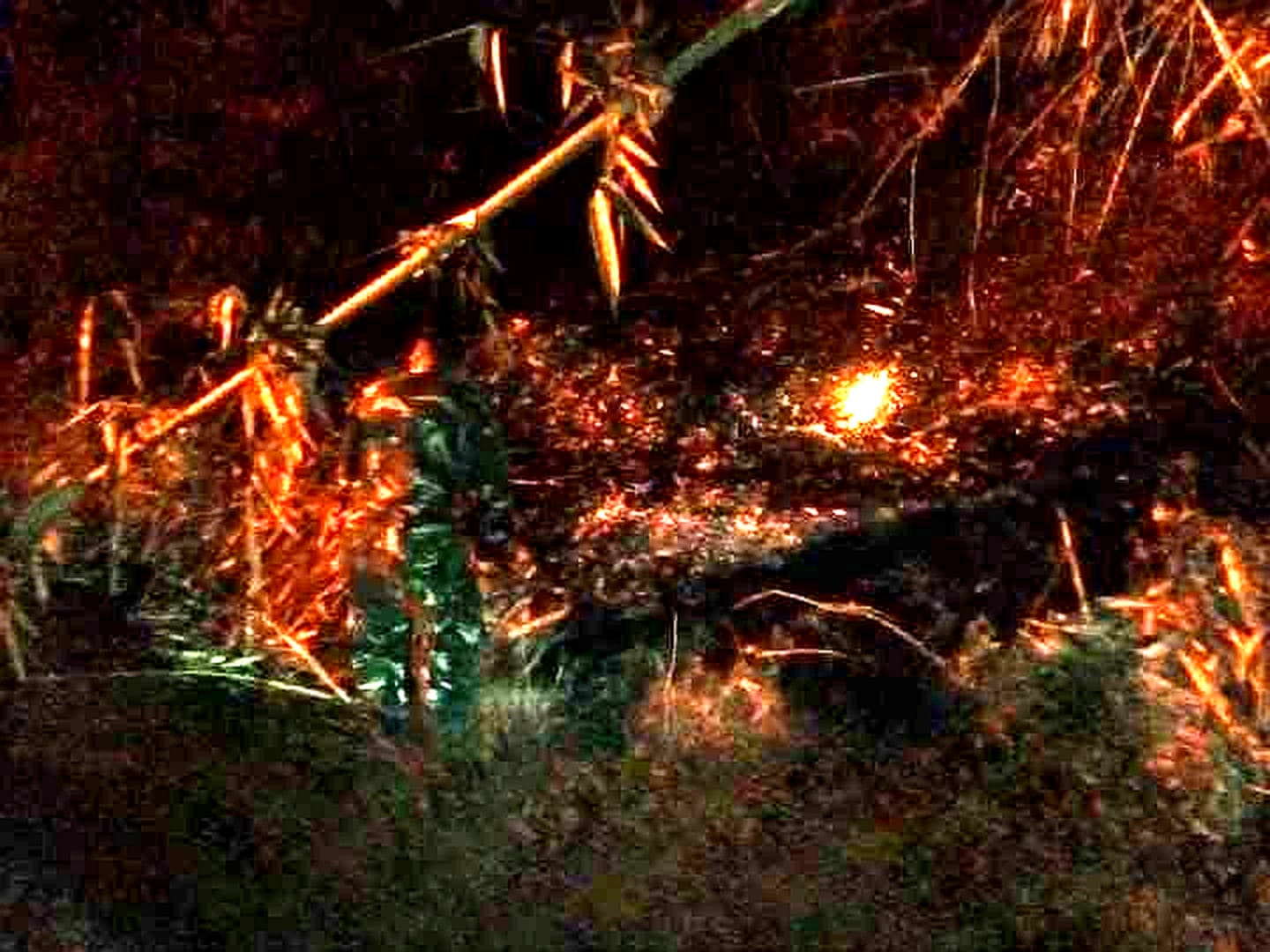 Kebun Bambu Warga di Ciamis Terbakar, Diduga Dipicu Pembakaran Sampah