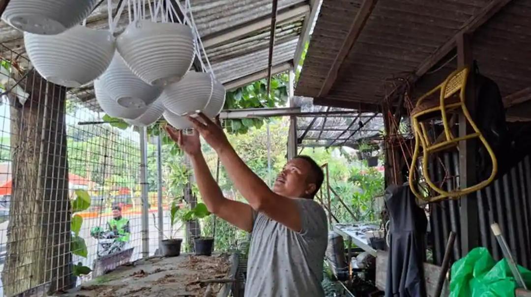 Pedagang Tanaman Hias Kota Bogor Menolak Ditertibkan, Ngaku Rutin Bayar : Kok Dibuat Susah Juga Pemerintah Kota (Pemkot) Bogor sedang melakukan normalisasi saluran air atau drainase di Jalan Dadali, Kecamatan Tanah Sareal, Kota Bogor.