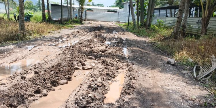 Sindikat Solar Ilegal Pesawaran Bebas Berkuasa : Koh Leo dan Ganesa