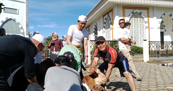 Pimpinan Umum Media Buser Salurkan Hewan Kurban dan Sampaikan Ucapan Selamat Hari Raya Iduladha 1447 H